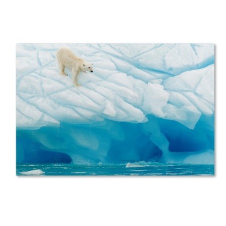 Joan Gil Raga 'Polar Bear' Canvas Art,12x19